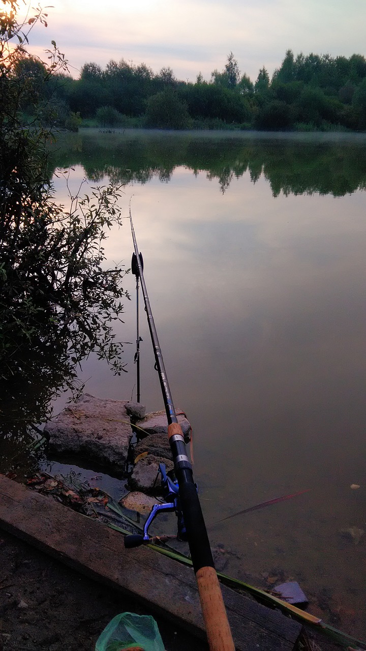 fishing lake nature free photo