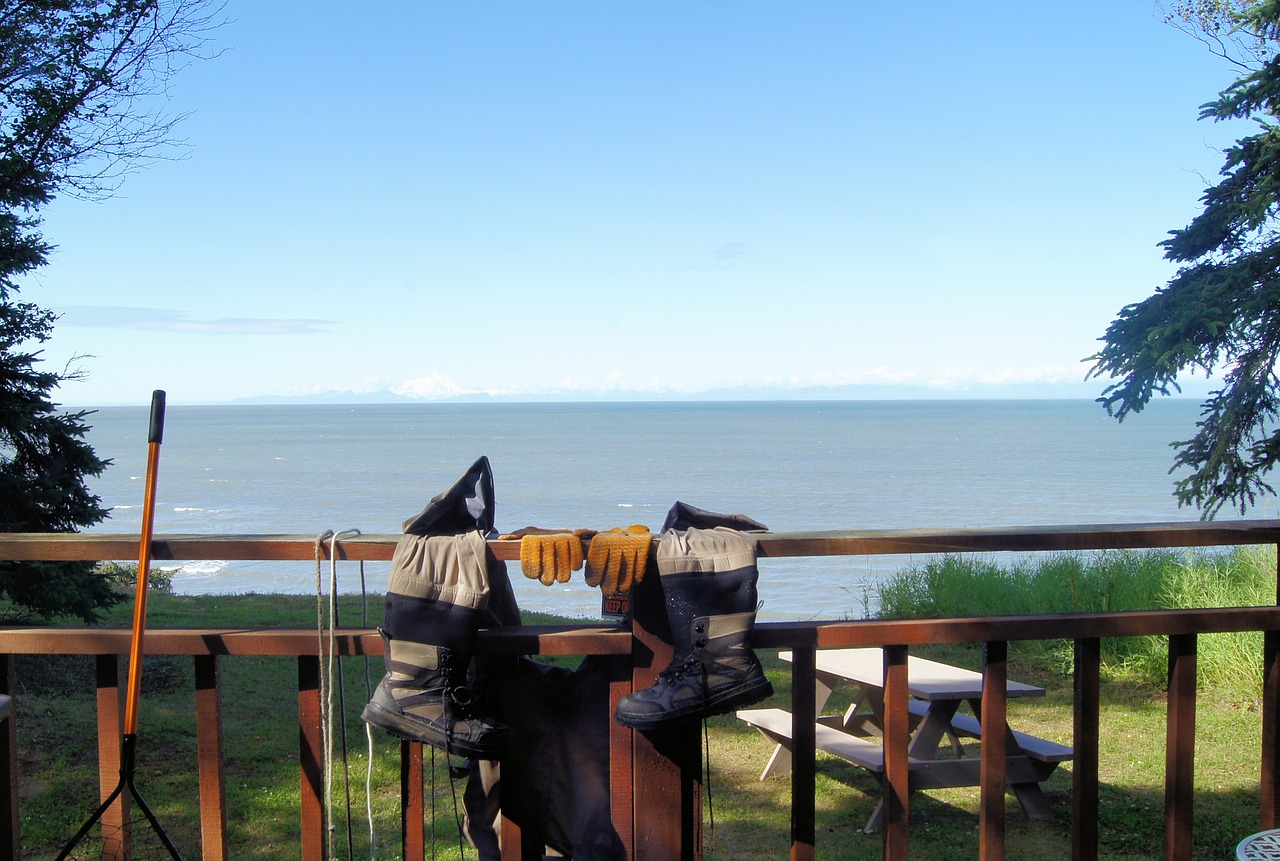 fishing cook's inlet view alaska free photo