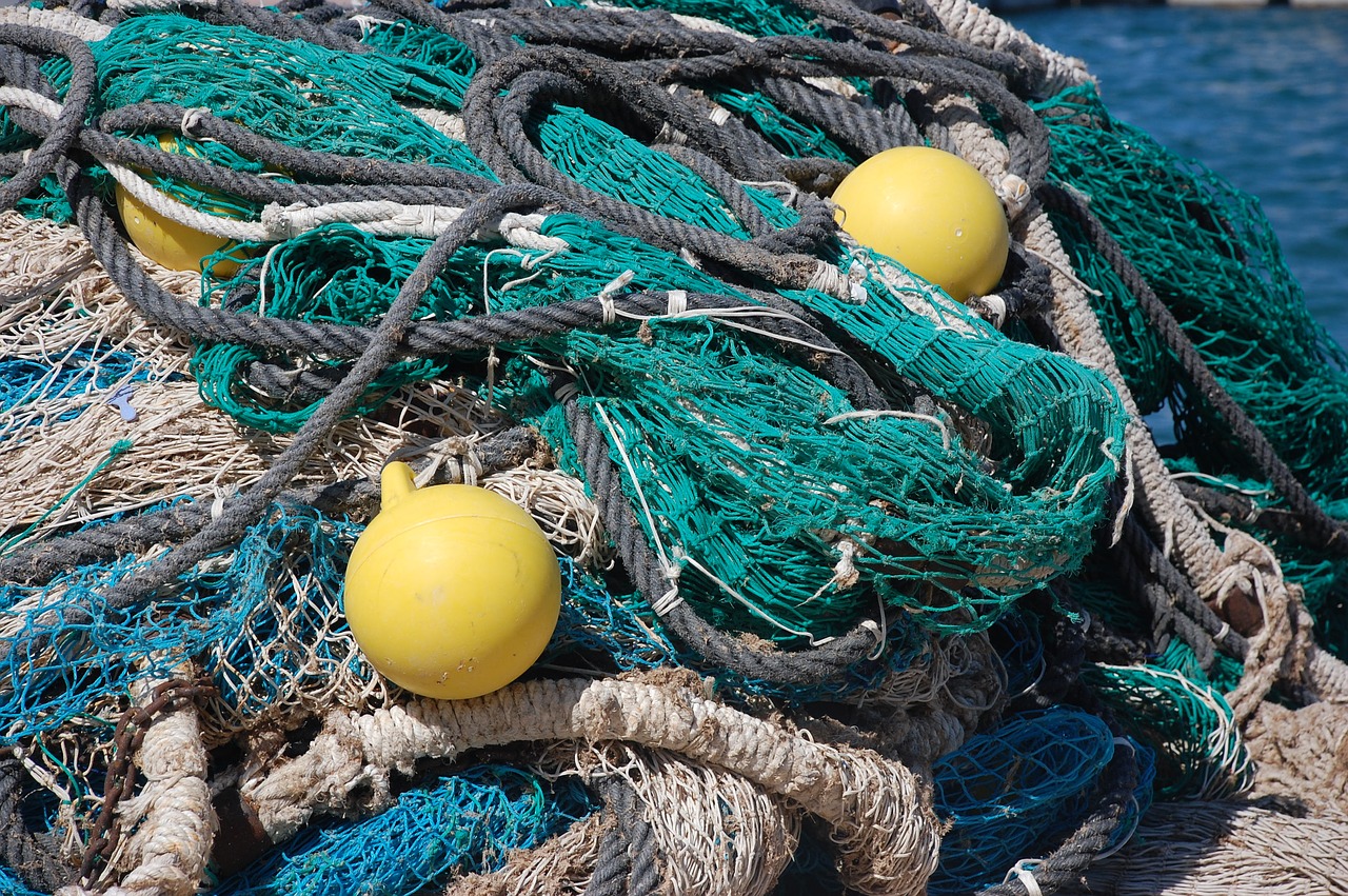 fishing nets sea free photo