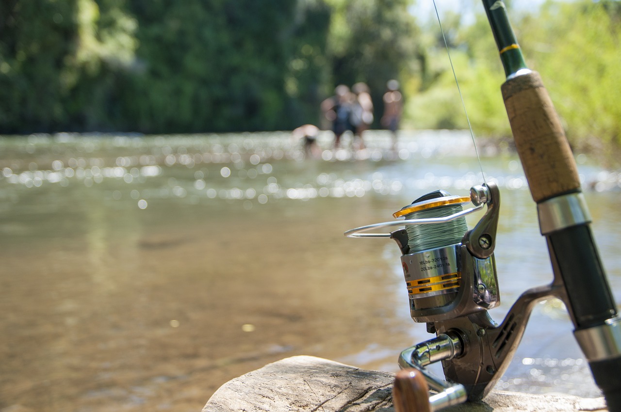 fishing a fishing rod cane free photo