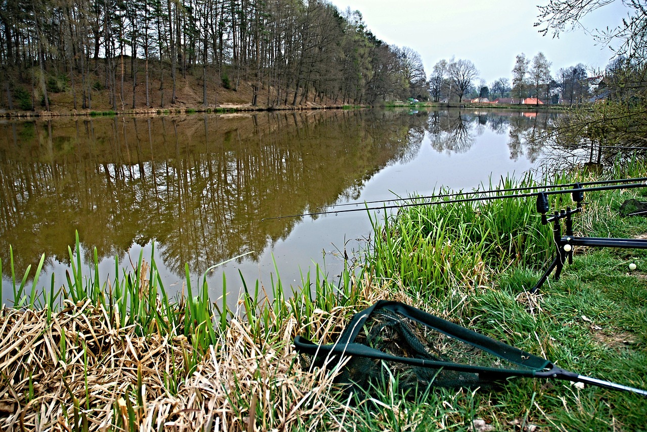 fishing pond reflection free photo