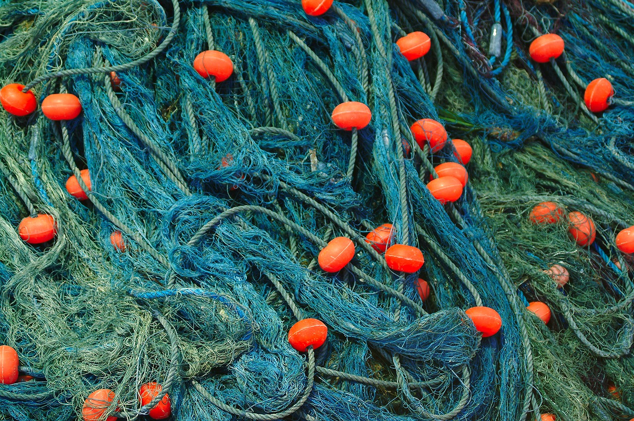 fishing  fishing nets  sea free photo