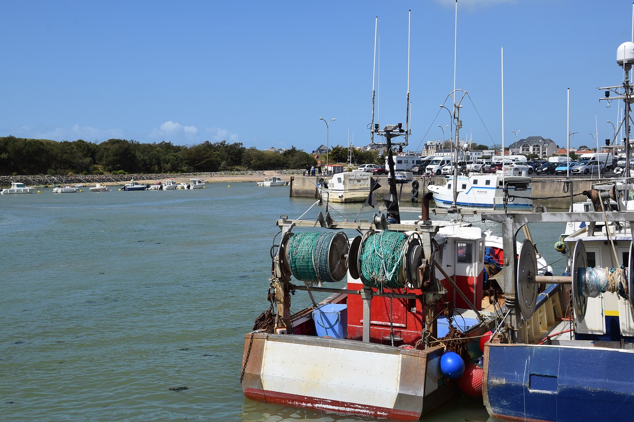 fishing  net  port free photo