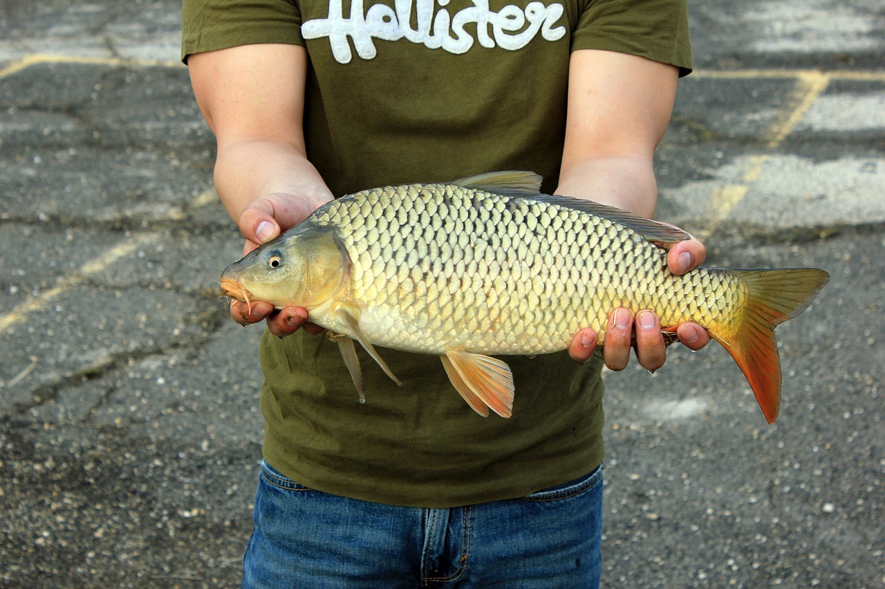 fishing catch holding free photo