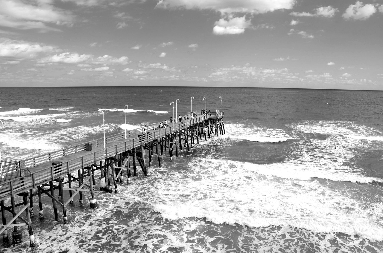 fishing  pier  florida free photo