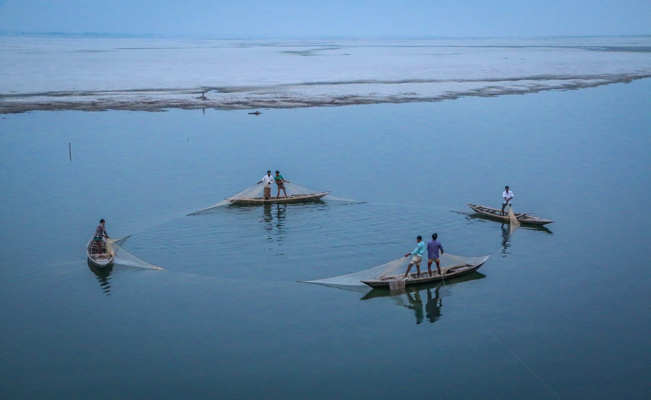 fishing  river  boat free photo