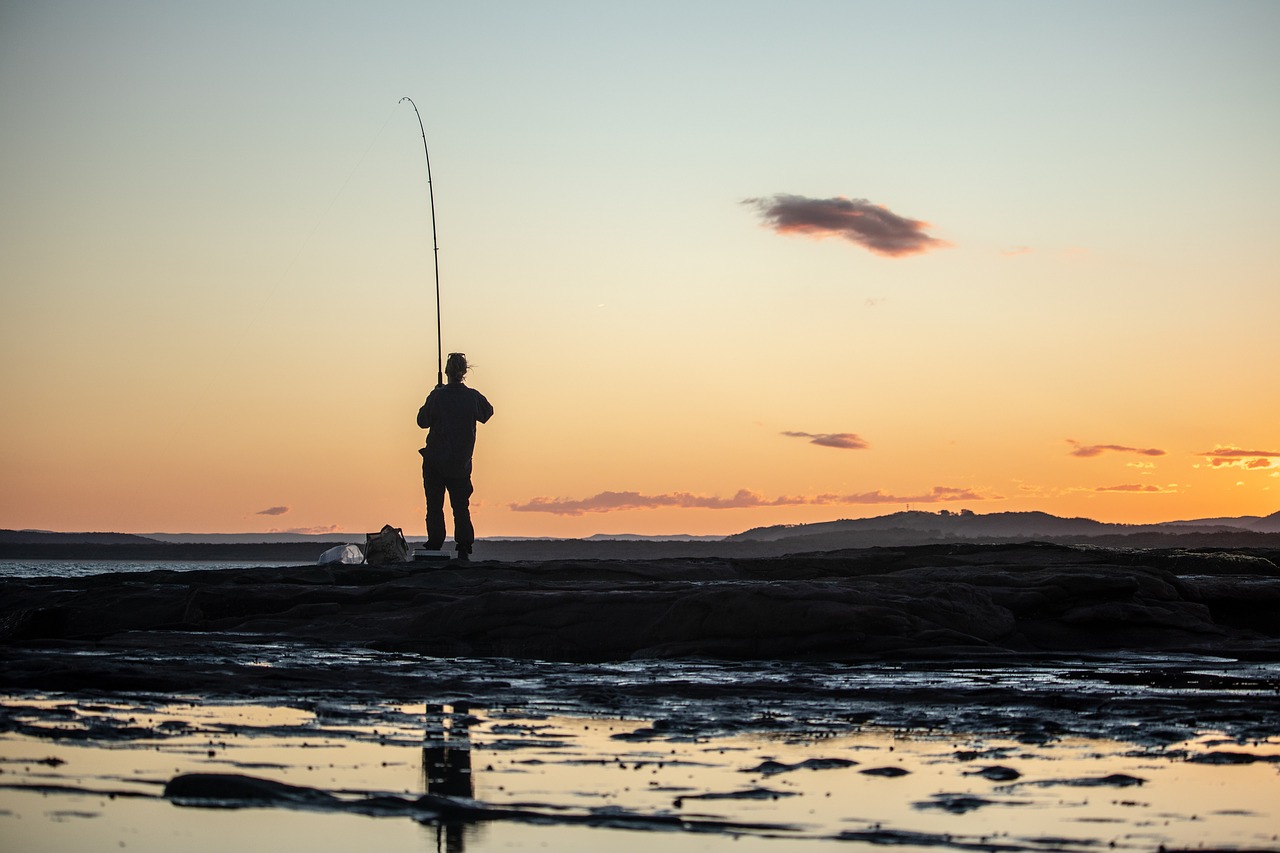 fishing  sunset  reflection free photo