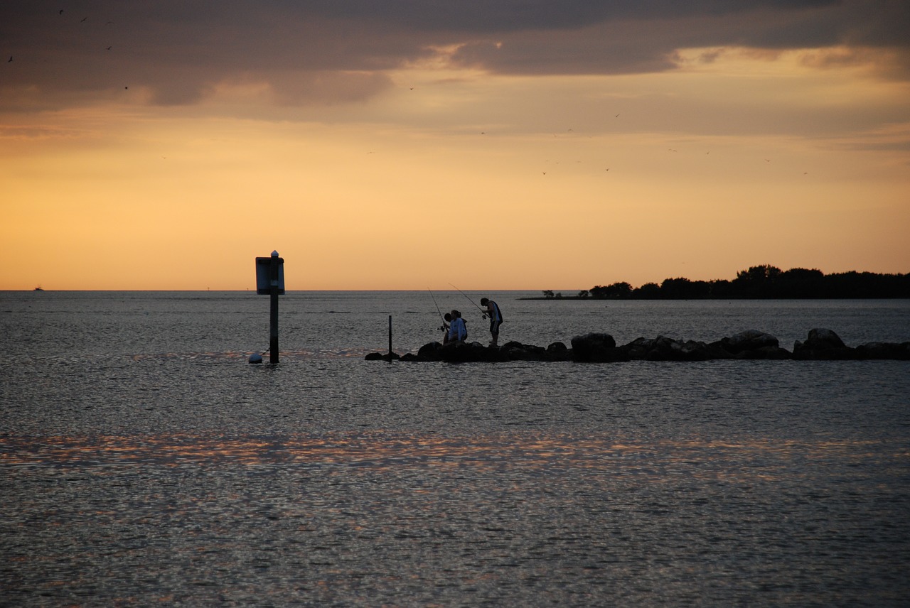 fishing  dusk  water free photo