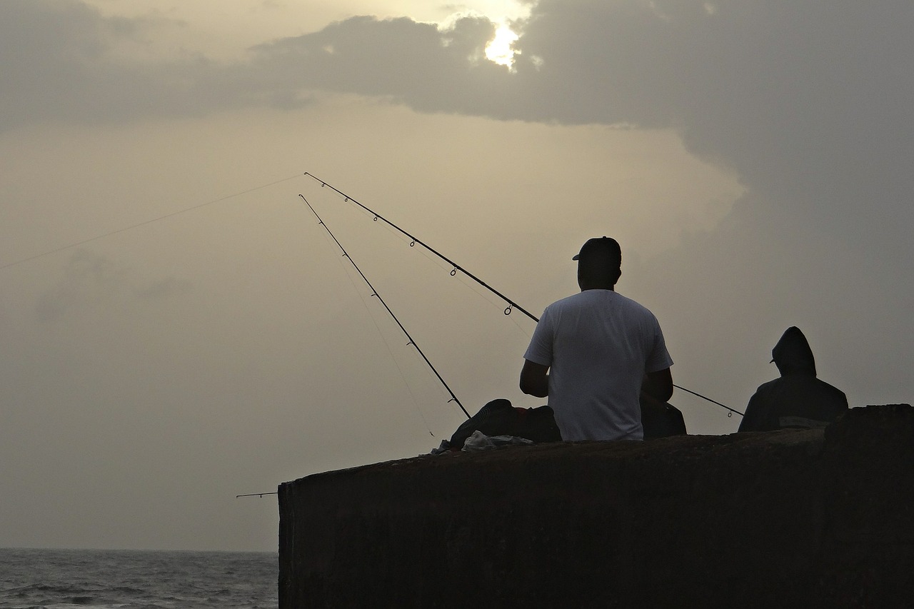 fishing fishing rod angler free photo