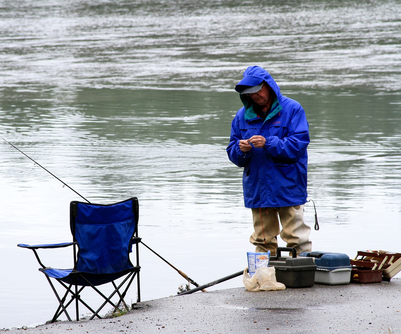 fishing  salmon  alaska free photo