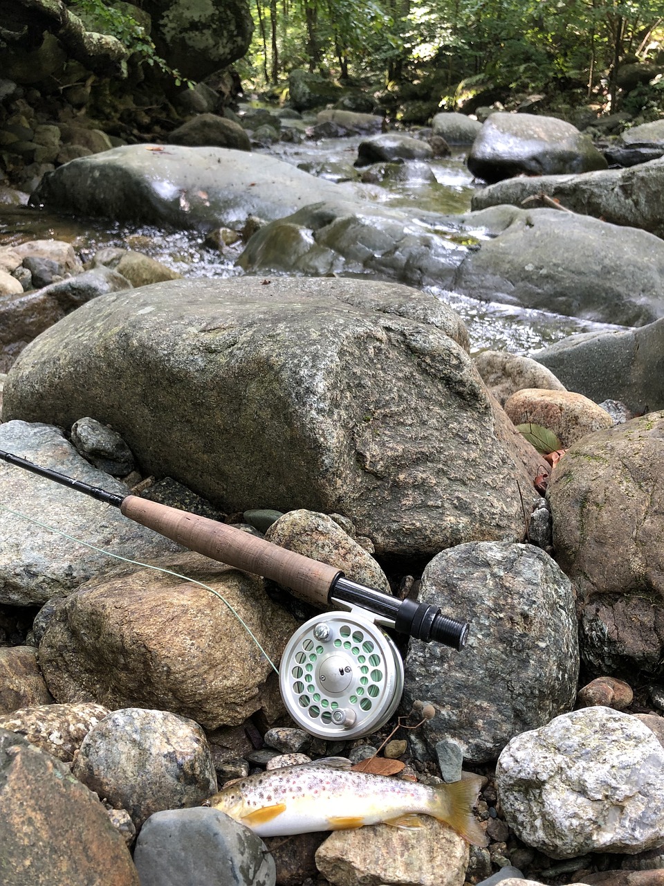 fishing  virgina  fly fishing free photo