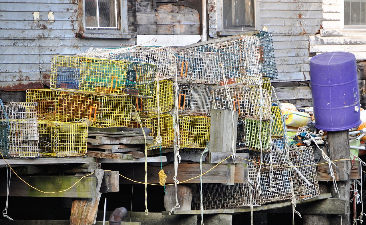 fishing  port  baskets free photo