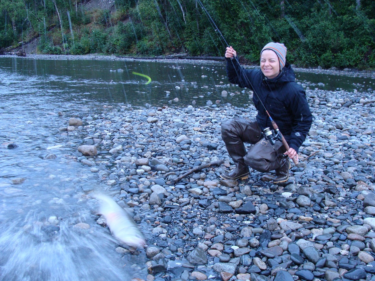 fishing alaska salmon free photo