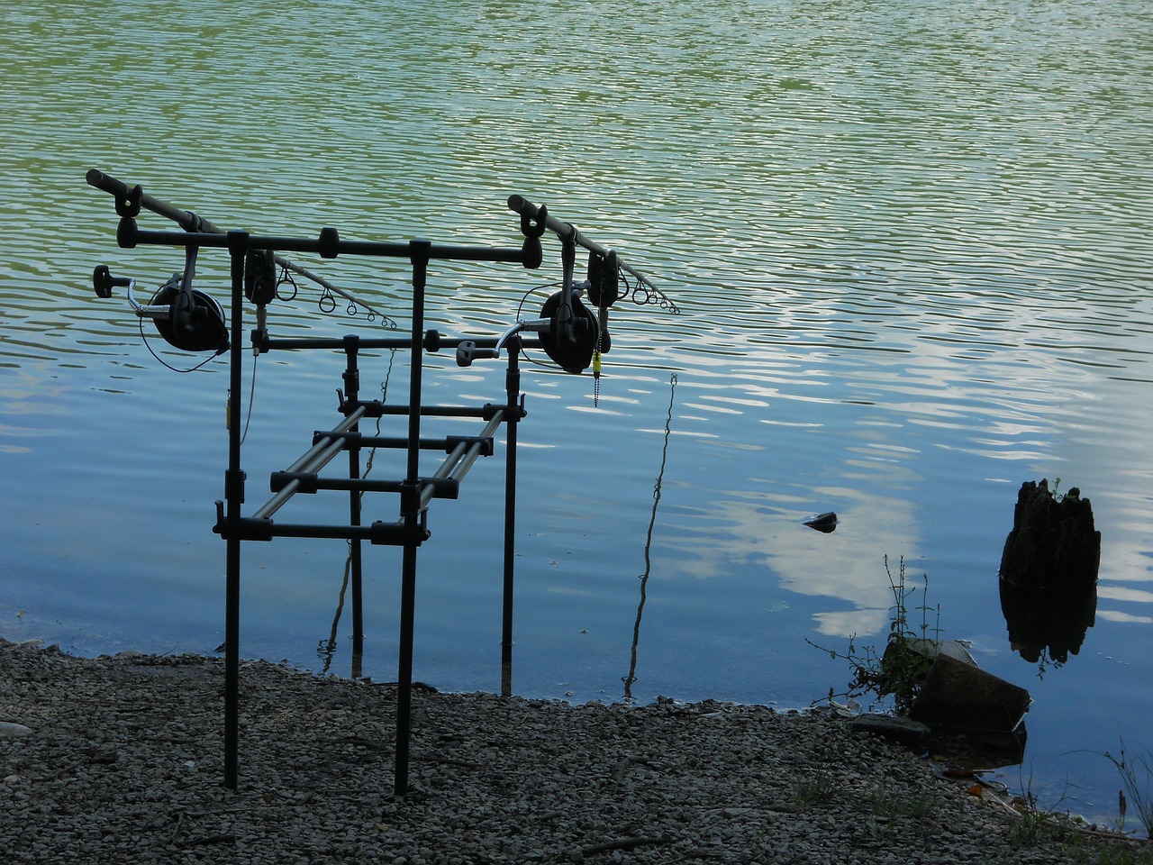fishing fishing rods lake free photo