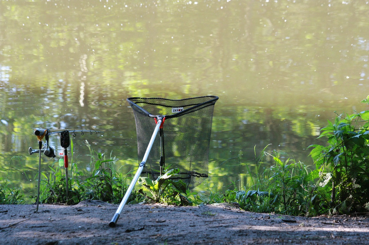 fishing lake free pictures free photo