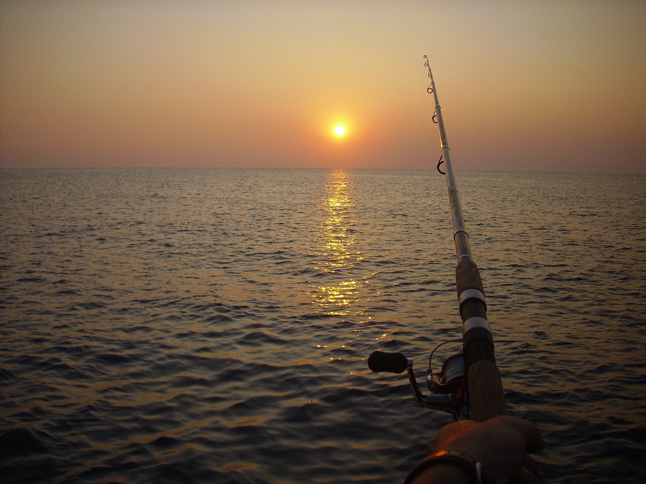 fishing fishing rod sunset free photo