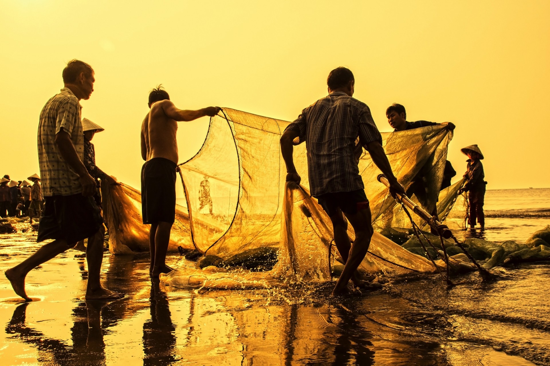 sầm sơn beach thanh hóa việt nam free photo