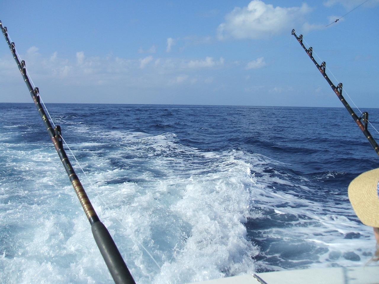 fishing deep sea fishing hawaii free photo