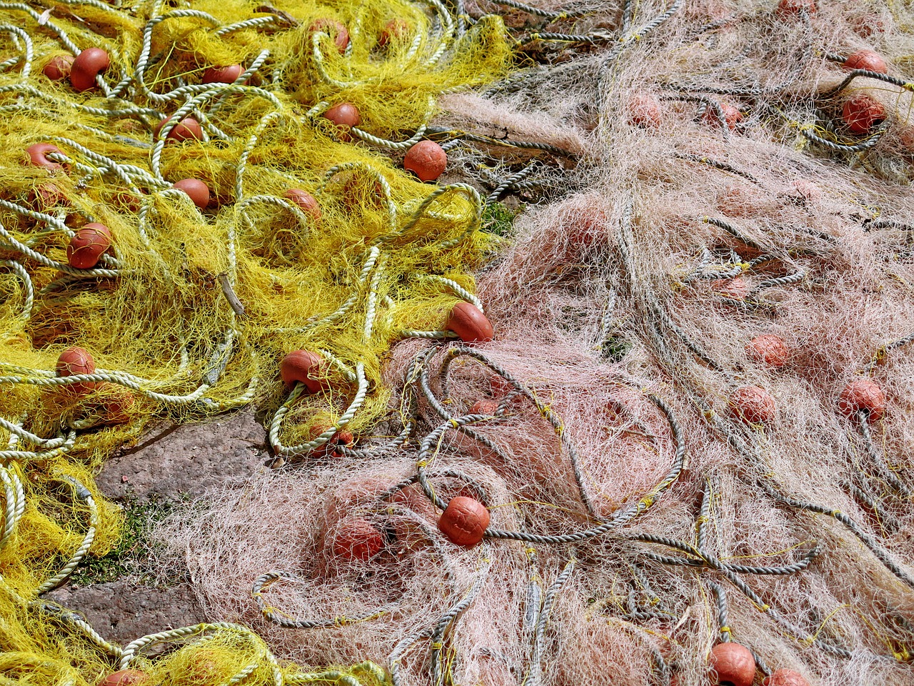 fishing nets tangled free photo