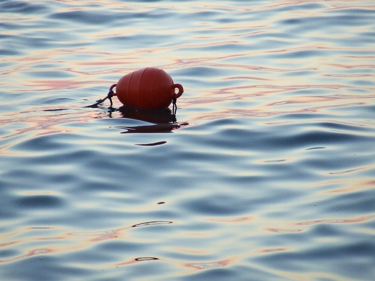 fishing buoy sunset free photo