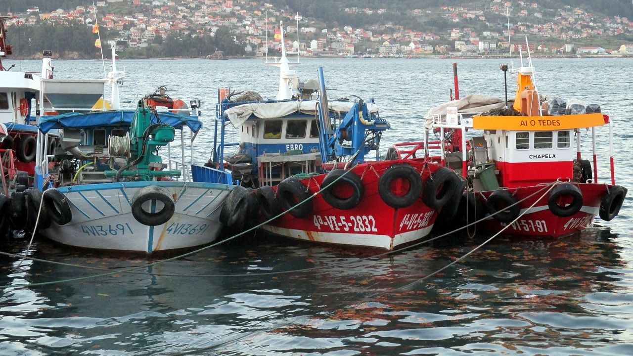 fishing sea boat free photo