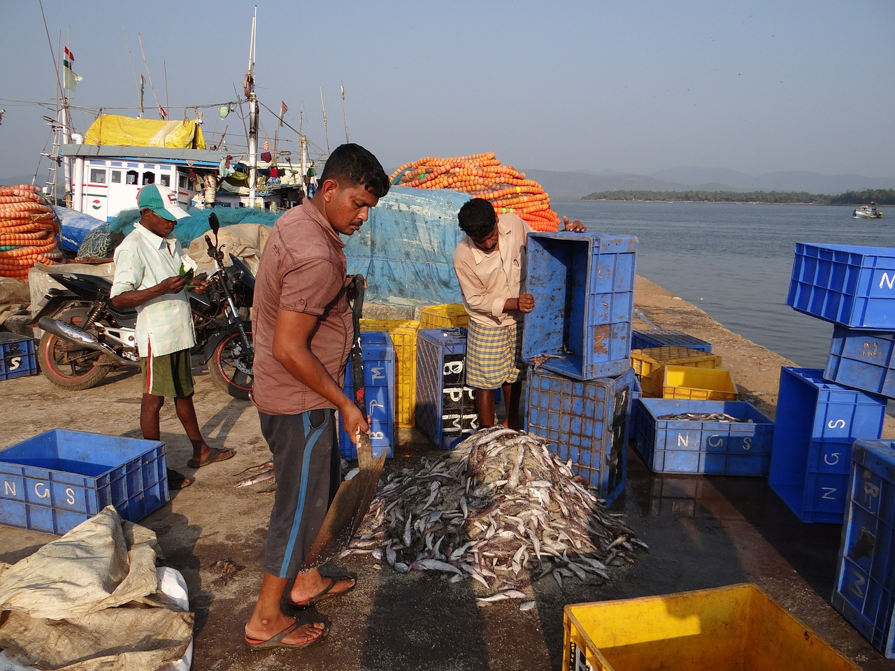 fishing harbour catch free photo