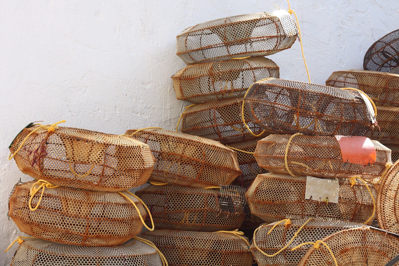 fishing lobster pots harbour free photo