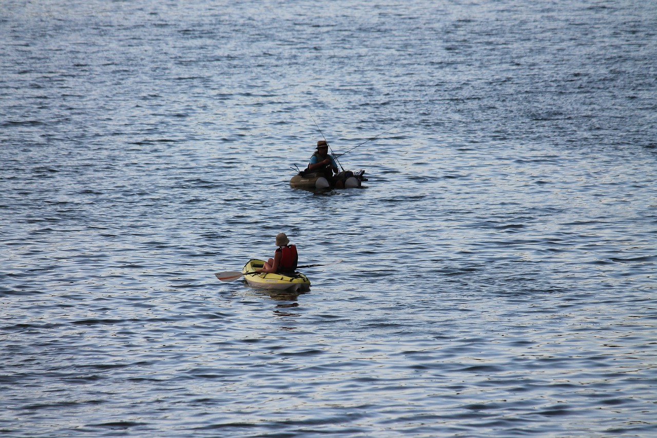 fishing sport river free photo