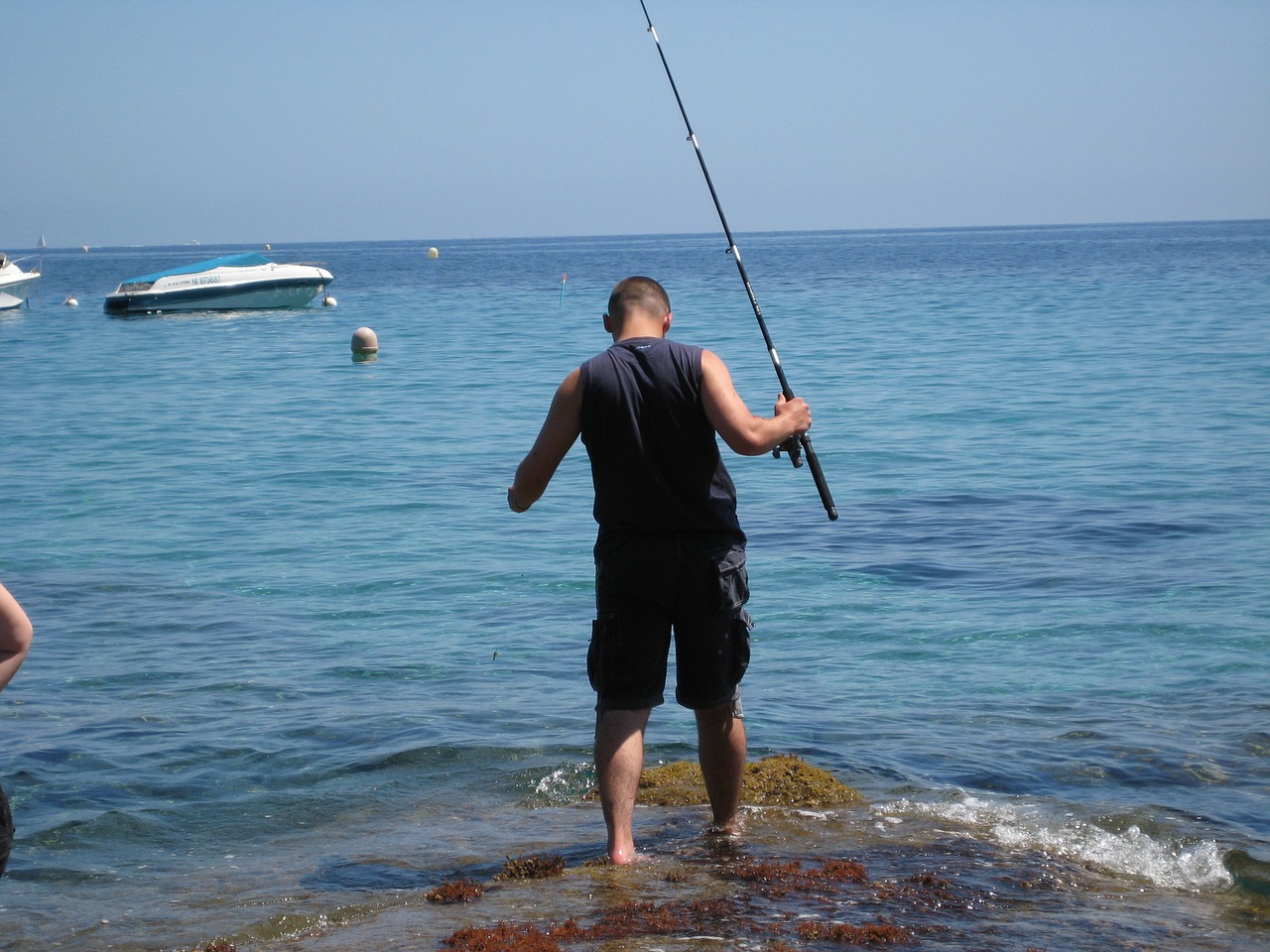 fishing angling water free photo