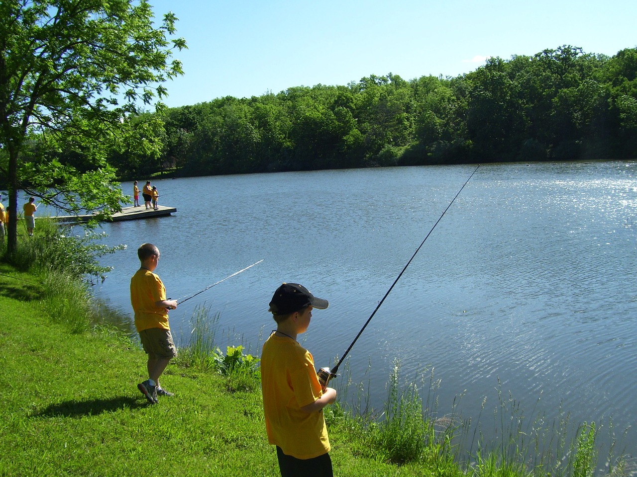 fishing lake summer free photo