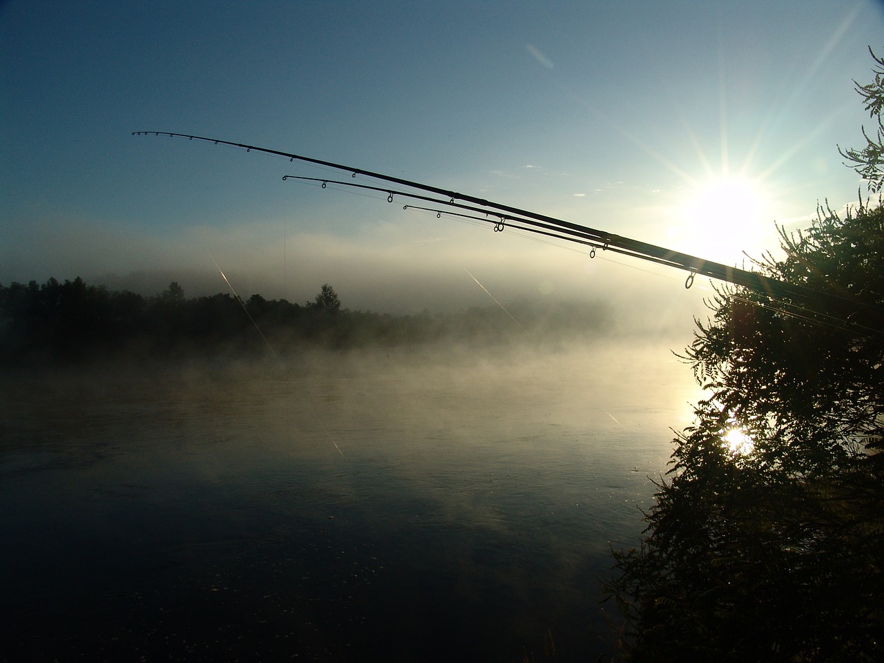 fishing dawn island free photo