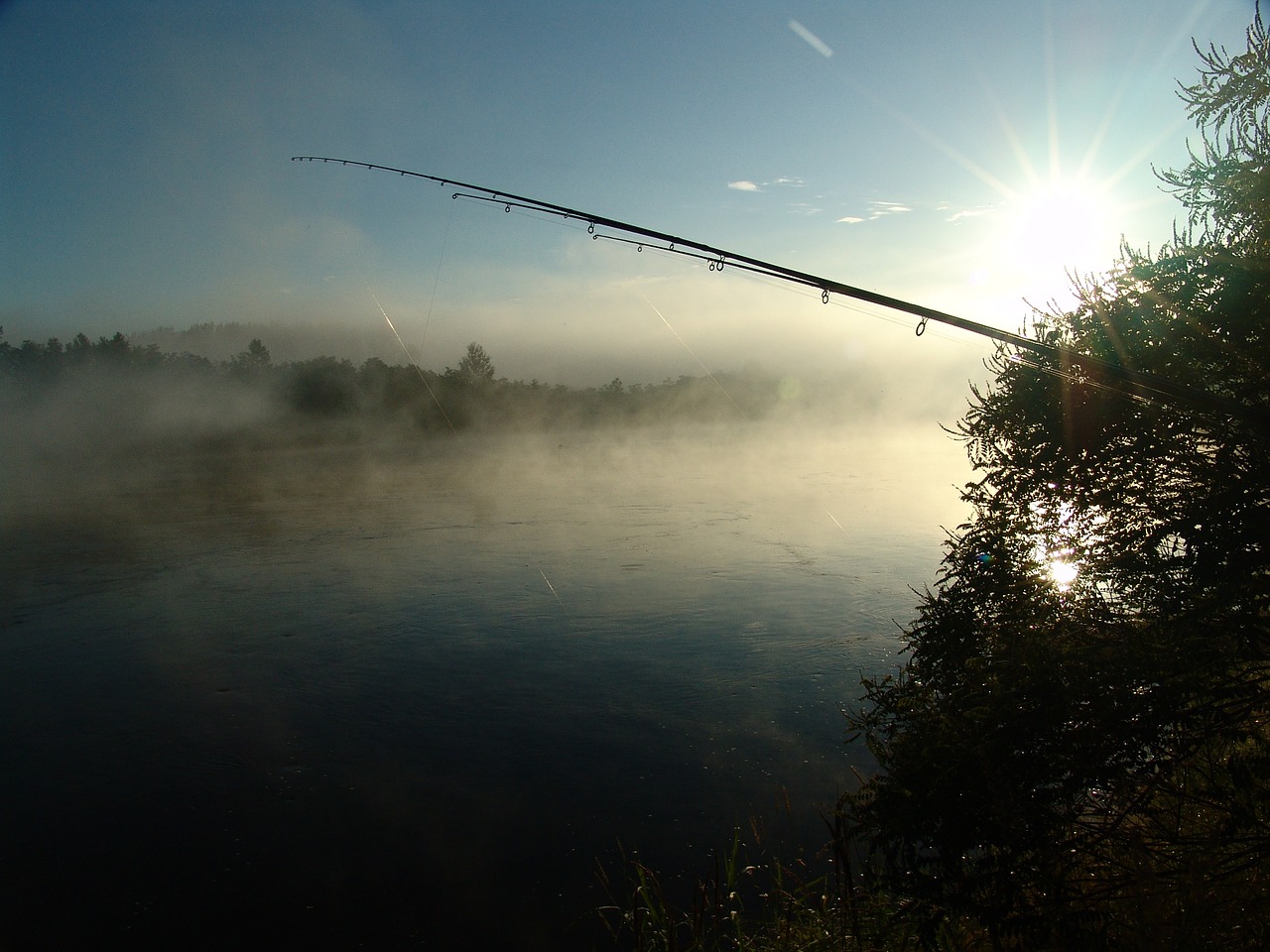 fishing dawn island free photo