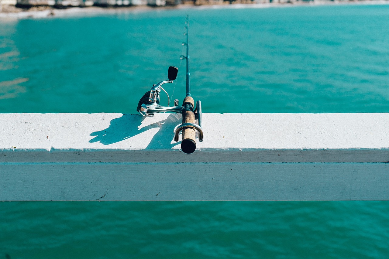 fishing rod pivot free photo
