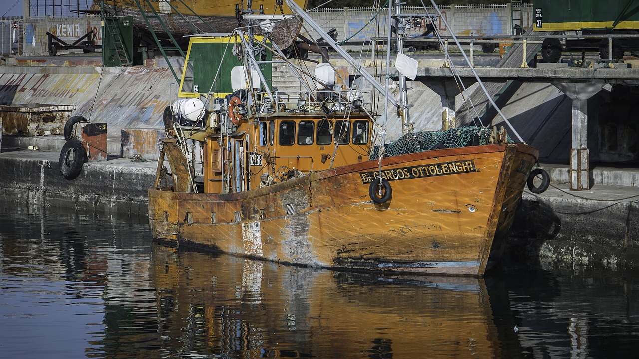 fishing mar del plata sea free photo