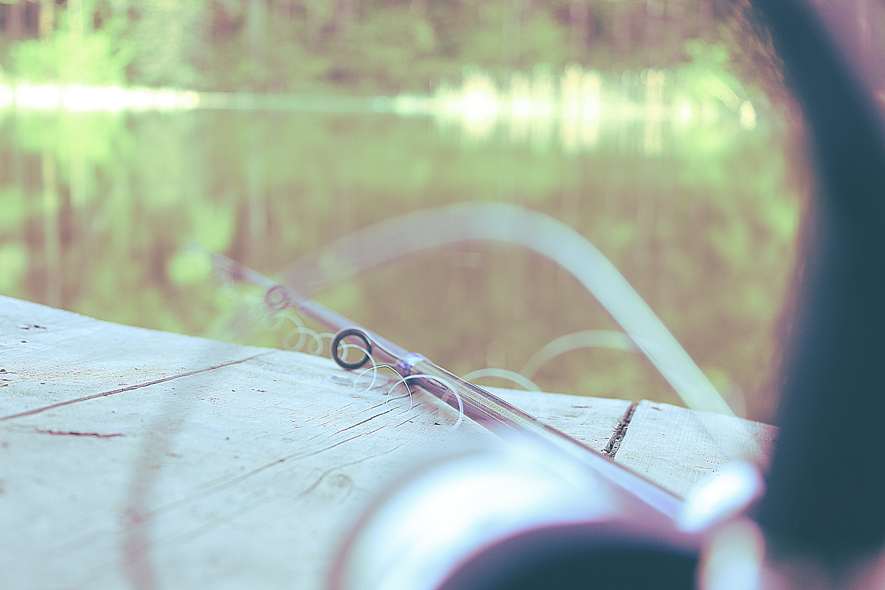 fishing rod lake free photo