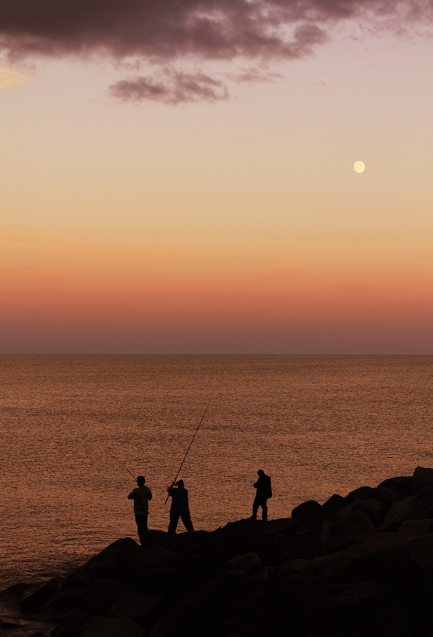 fishing sunset water free photo