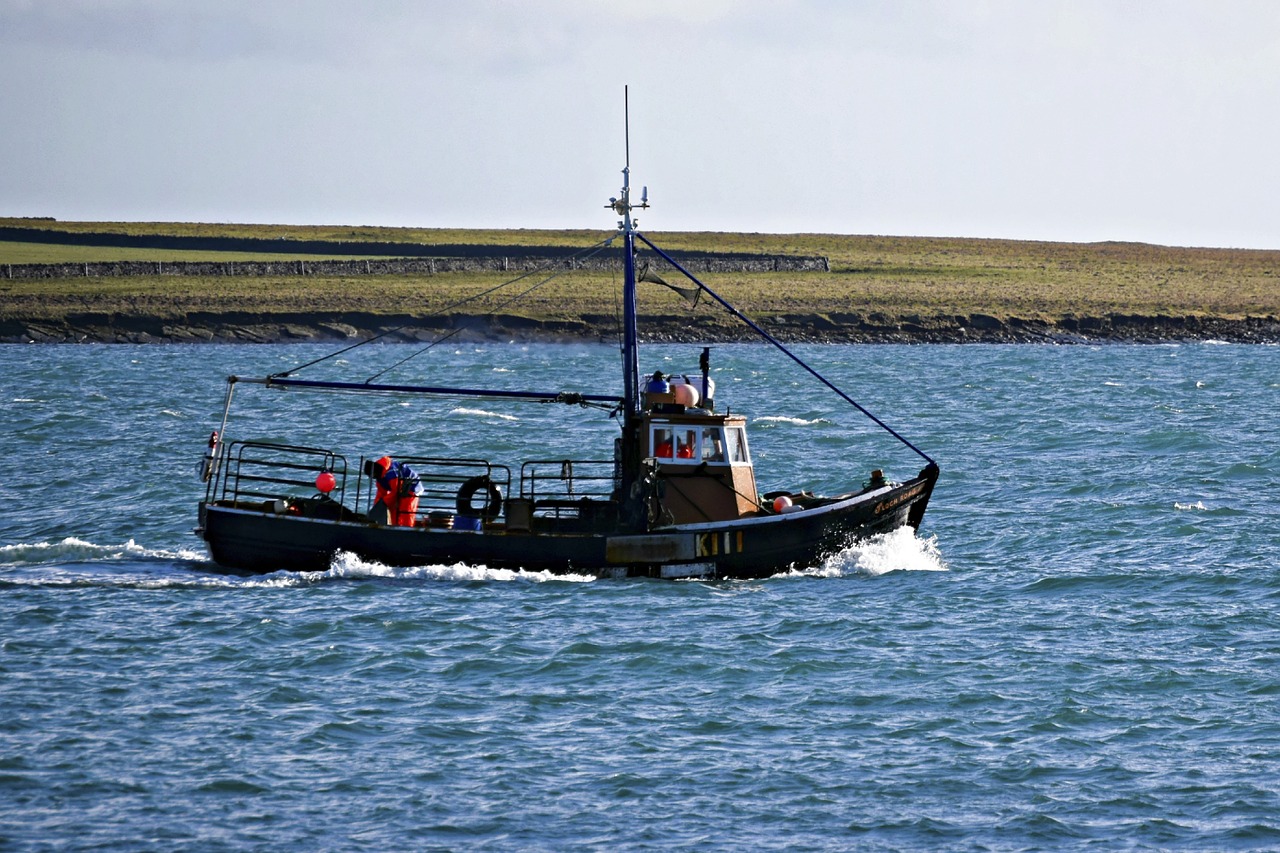 fishing creel boat sea free photo