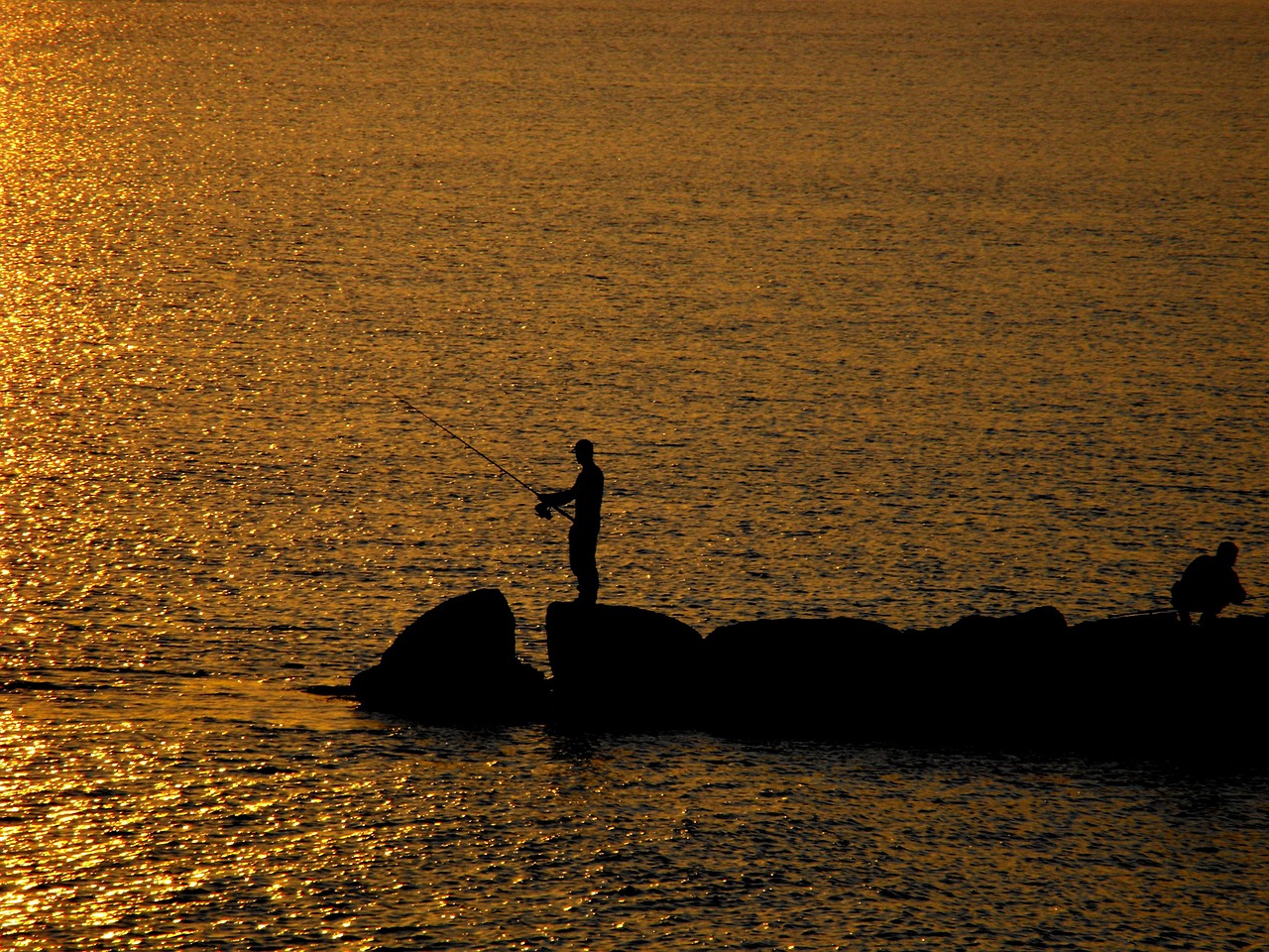 fishing sunset ocean free photo