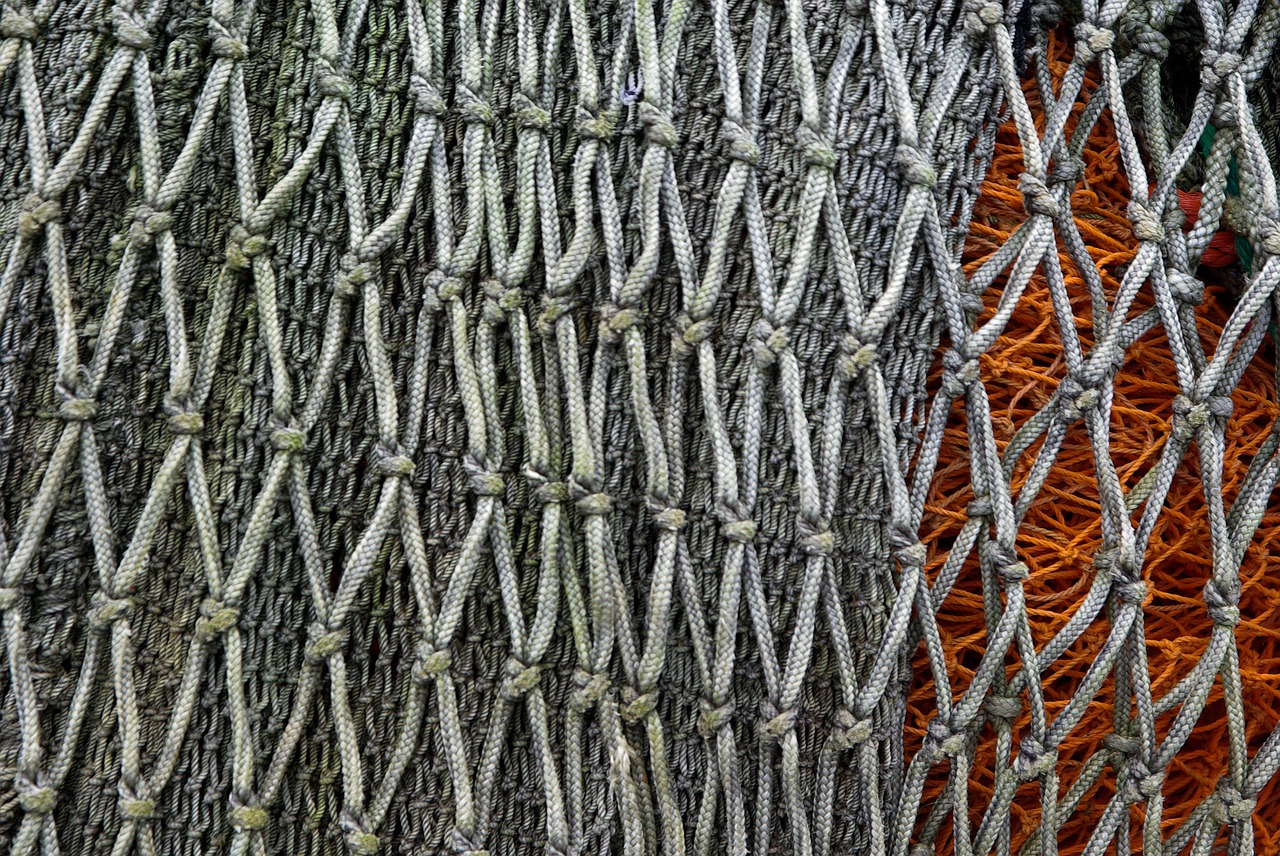 fishing netting port free photo