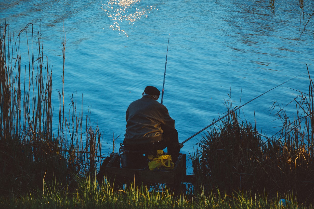 fishing lake fisherman free photo