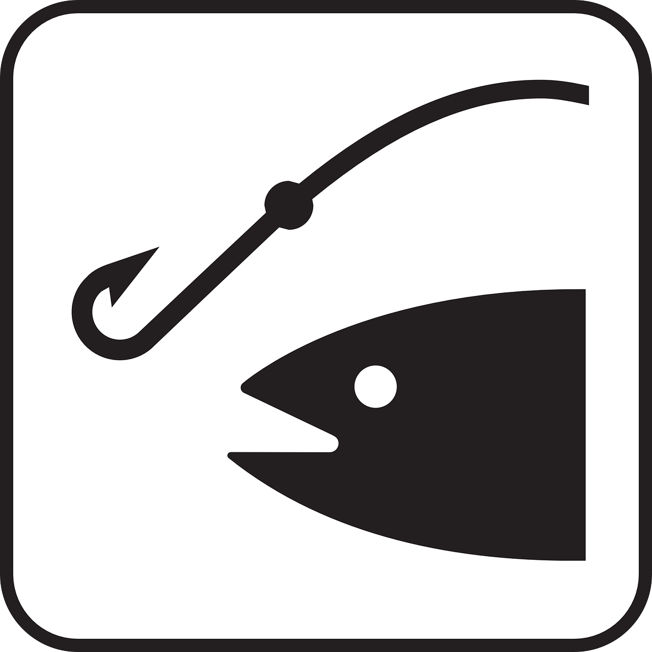 fishing angling fishing-rod free photo