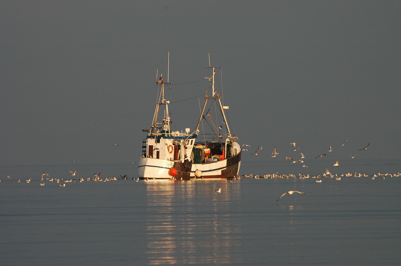 fishing boat baltic sea sea free photo