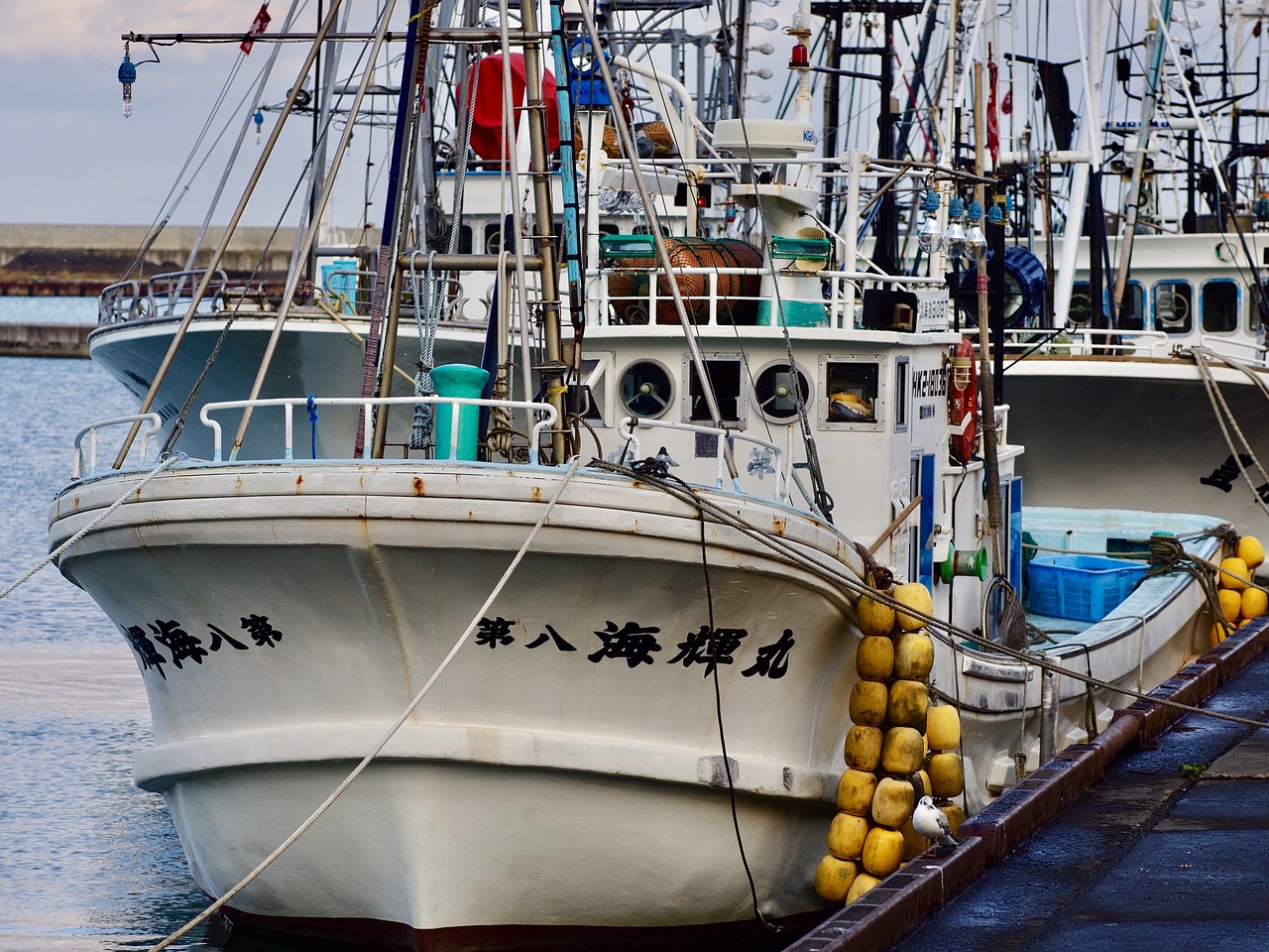 fishing boat fishing port hokkaido free photo