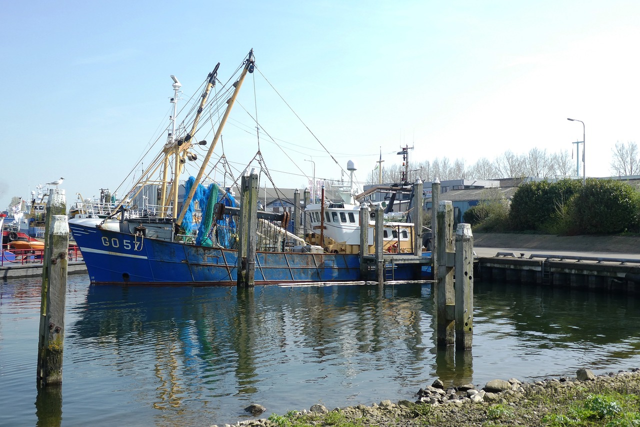 fishing boat  craft  port free photo