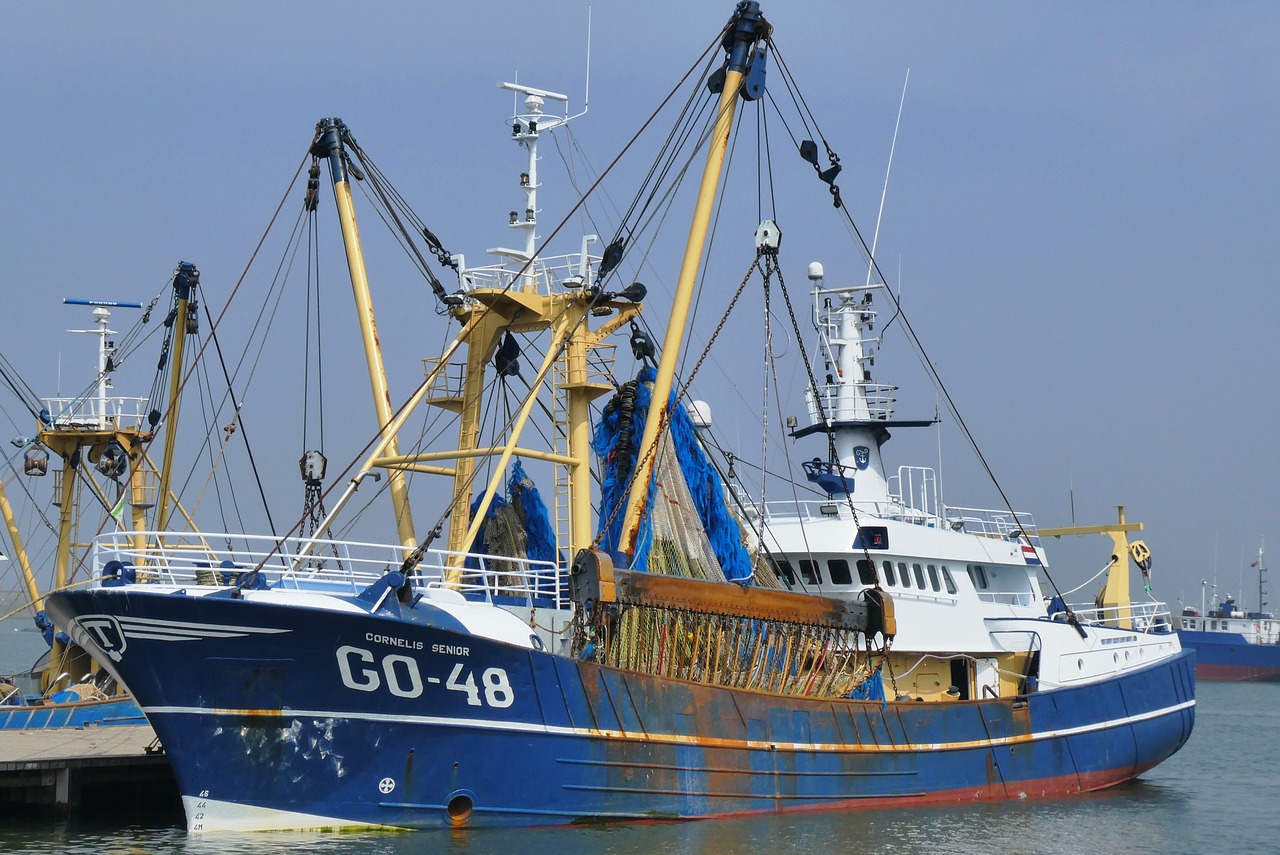 fishing boat  port  fisheries free photo