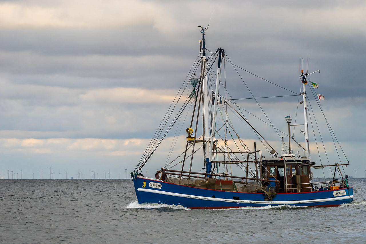 fishing boat  cuxhaven  sea free photo