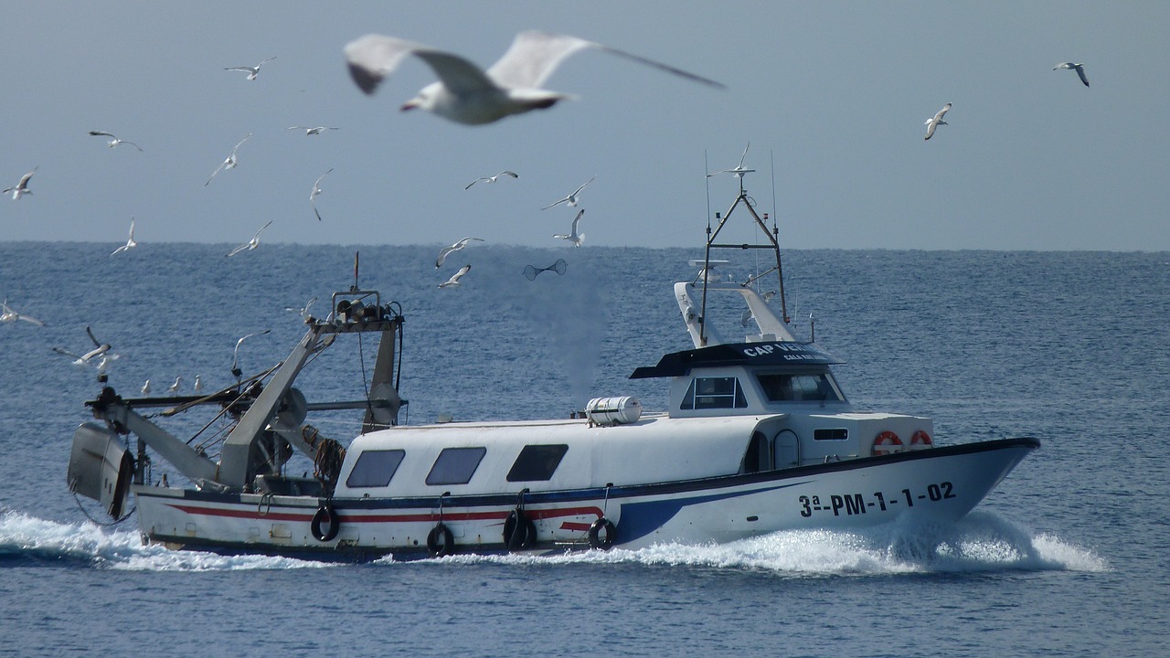 fishing boat gulls sea free photo