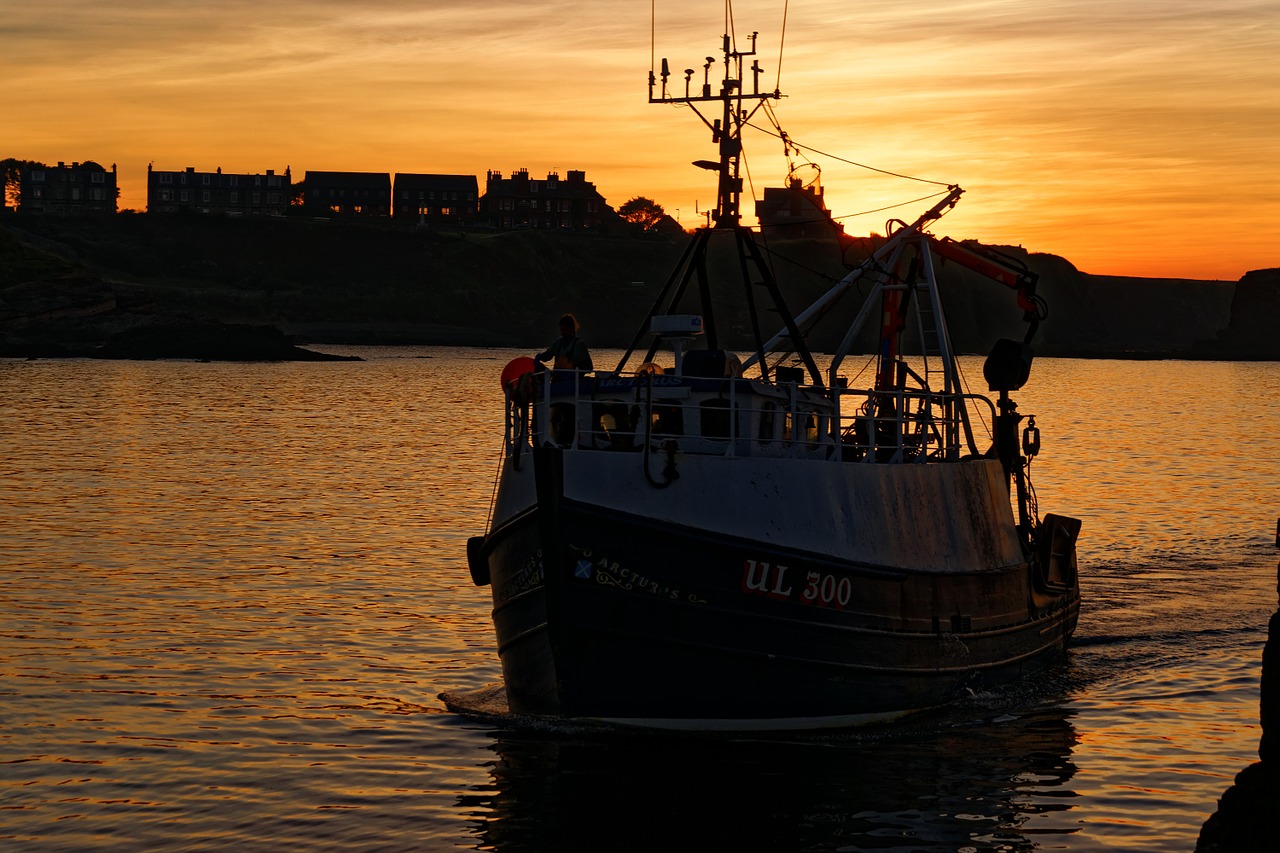 fishing boat boat sunset free photo