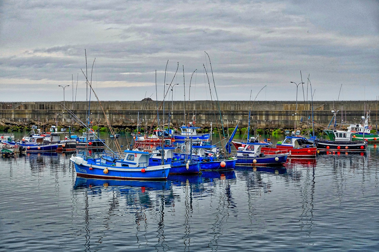 fishing boats harbour nautical free photo