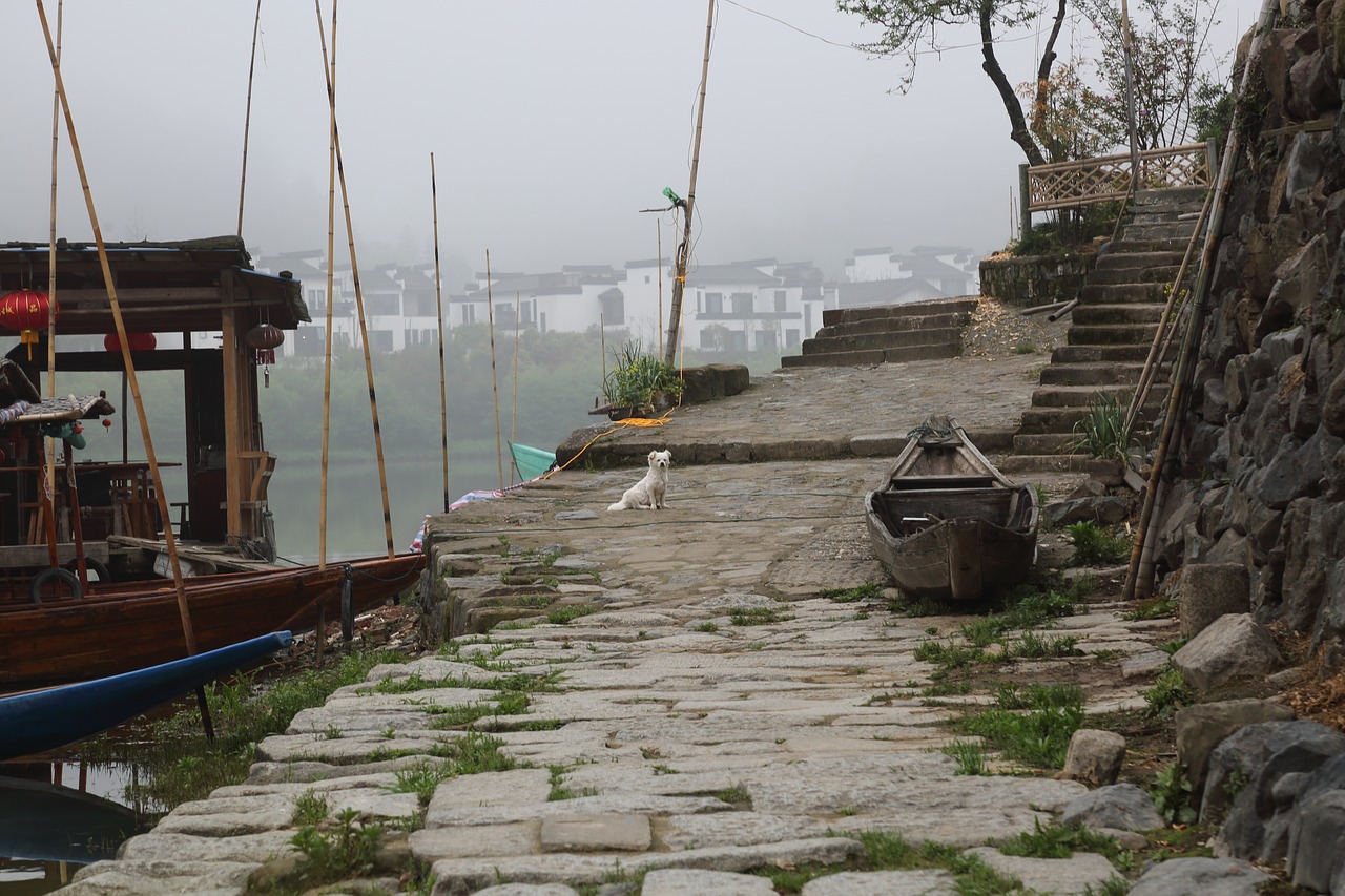 fishing boats  road  fog free photo